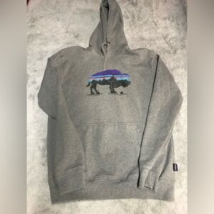 Patagonia Gray Hoodie with Buffalo Design small